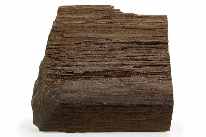 Permineralized Wood Covered In Sparkling Quartz - Germany #302184